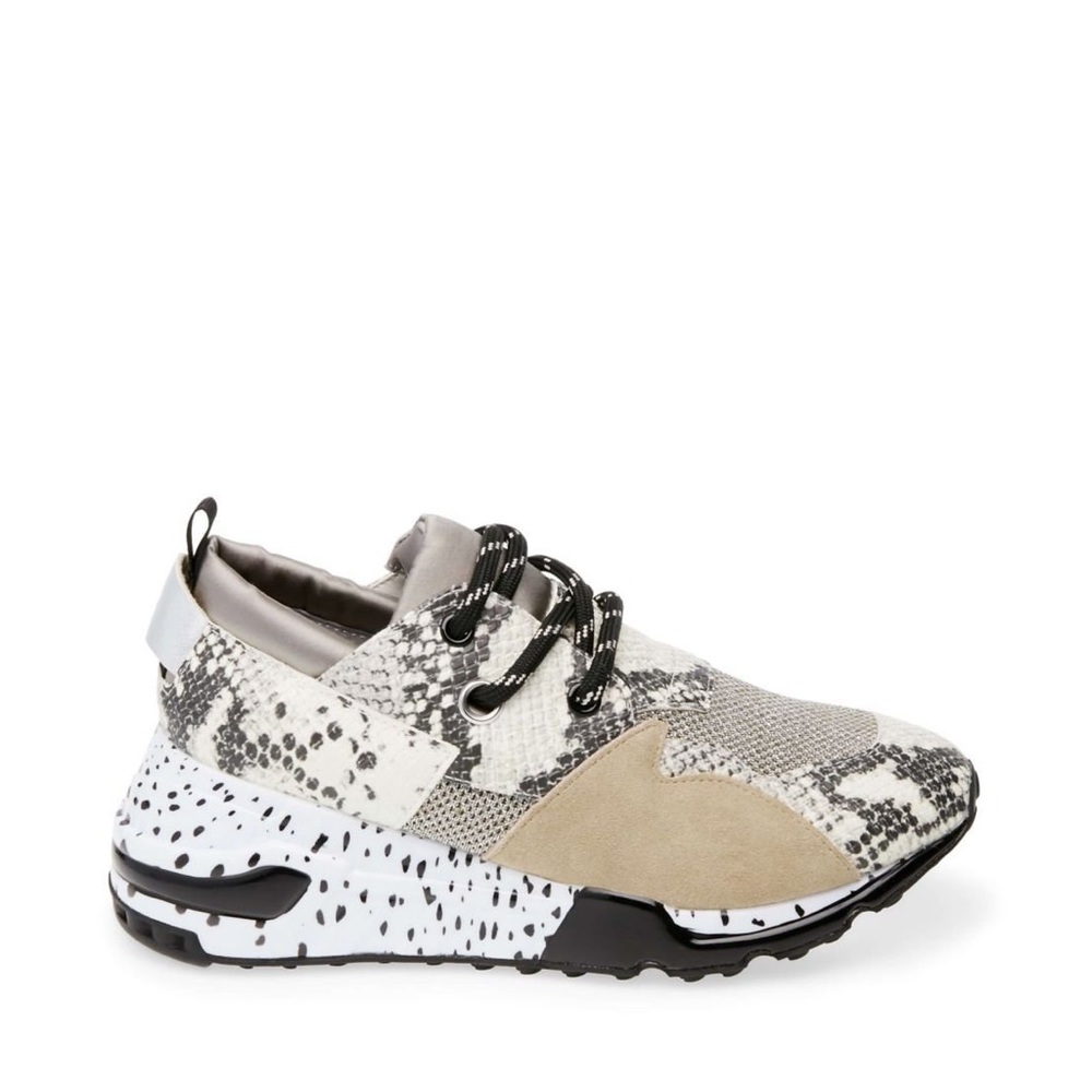 Steve Madden Cliff Sneaker - Snakeskin